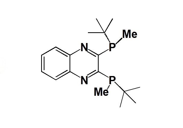 (R,R)-QuinoxP*