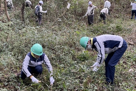 Tokuyama Plant