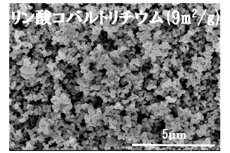 リン酸コバルトリチウム イメージ