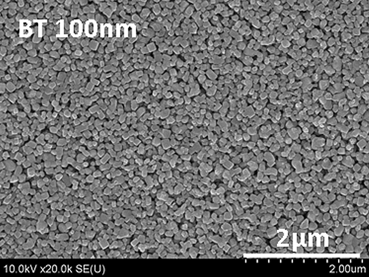 BT100nm