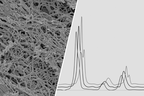 Crystalline and Structural Control Technology