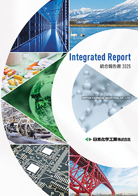 統合報告書2025