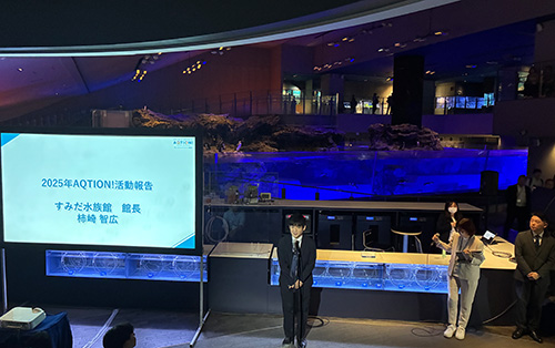 すみだ水族館の柿崎館長より、2025年度のAQTION!プロジェクトにおける活動報告をいただきました。